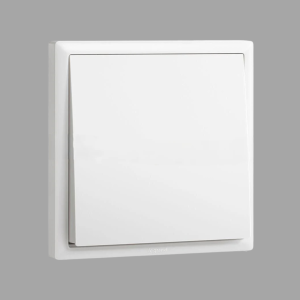 Legrand Eloe Switch 1G 2W 16A 250V