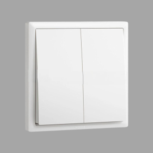 Legrand Eloe Switch 2G 2W 16A 250V
