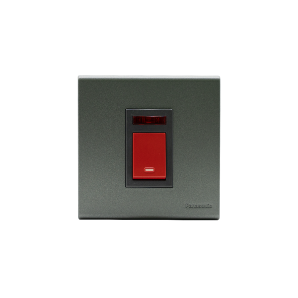 PANASONIC DP SWITCH w/ Neon 45A - GRAY